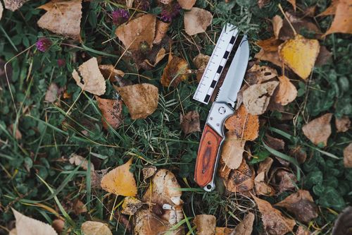 Фото СКР по Красноярском краю и Хакасии